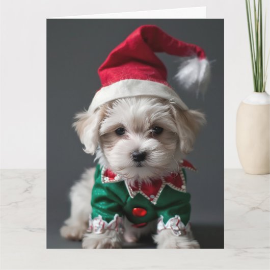 Maltese Terrier Elf Puppy Christmas Kaart (Voorkant)