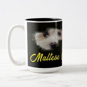 Maltese Terrier Eyes Solid Color Tweekleurige Koffiemok