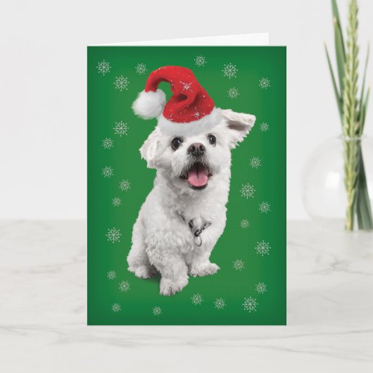 Maltese terrier met kerstkerstmis in Santa Hat Feestdagen Kaart (Voorkant)