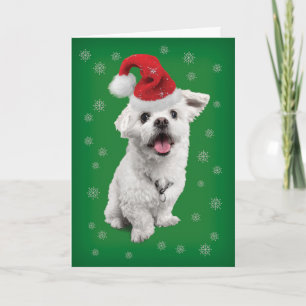 Maltese terrier met kerstkerstmis in Santa Hat Feestdagen Kaart