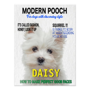 Maltese Terrier Parody Magazine Hoesje Foto Afdruk