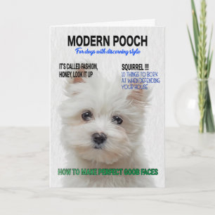 Maltese Terrier Parody Magazine Hoesje Kaart