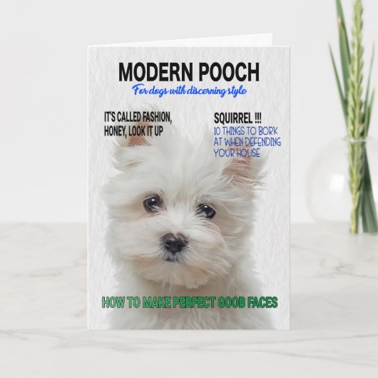 Maltese Terrier Parody Magazine Hoesje Kaart (Voorkant)