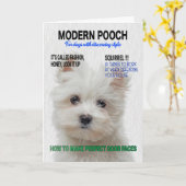 Maltese Terrier Parody Magazine Hoesje Kaart (Gele Bloem)