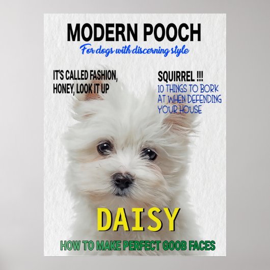 Maltese Terrier Parody Magazine Hoesje Poster (Voorkant)