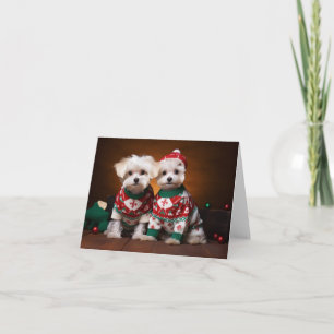 Maltese Terrier Puppies Kerst Kaart