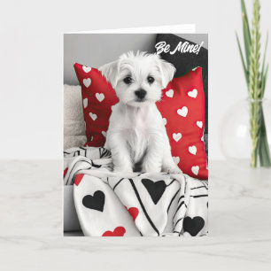 Maltese Terrier Puppy Valentijn Kaart