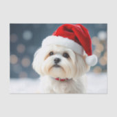 Maltese Tissue Paper Tissuepapier (Voorkant)