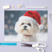 Maltese Tissue Paper Tissuepapier (Craft)