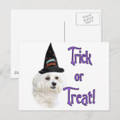 Maltese truc briefkaart (Voorkant / Achterkant)