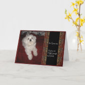 Maltese verjaardag Humor Kaart voor elke volwassen (Gele Bloem)