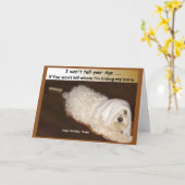 Maltese verjaardag Humor Kaart voor Over the Hill (Gele Bloem)