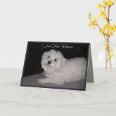 Maltese verjaardag Humor Kaart voor vrouwen (Gele Bloem)