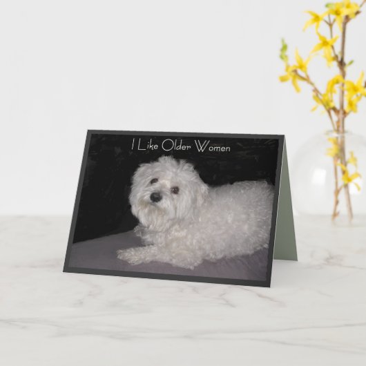 Maltese verjaardag Humor Kaart voor vrouwen (Gele Bloem)