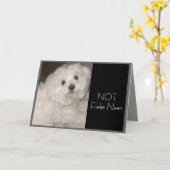 Maltese verjaardag Humor voor iedereen Kaart (Gele Bloem)