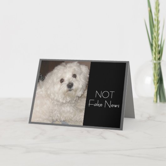 Maltese verjaardag Humor voor iedereen Kaart (Voorkant)