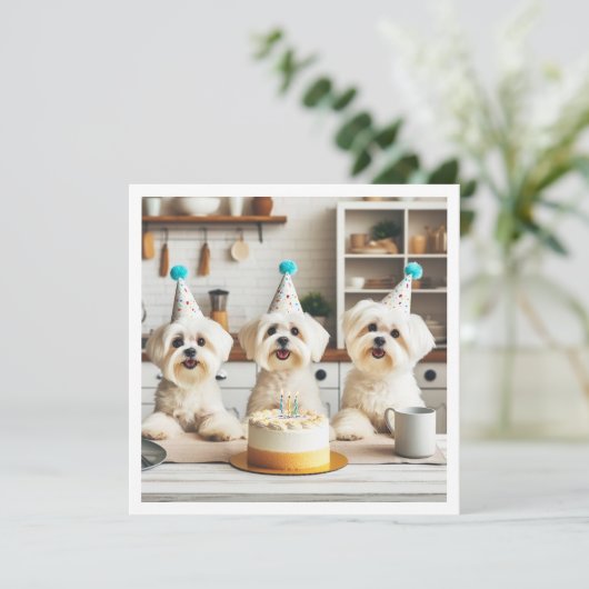 Maltese verjaardag viering, Maltese hond Kaart (Staand voorkant)