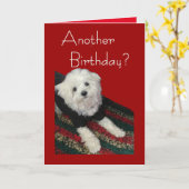 Maltese verjaardagswensen voor iedereen kaart (Gele Bloem)