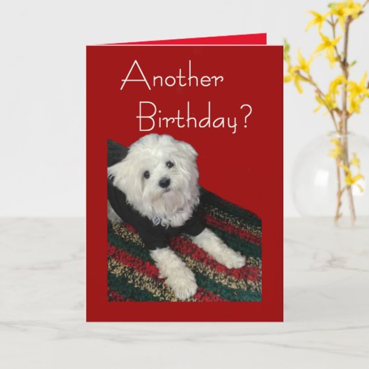 Maltese verjaardagswensen voor iedereen kaart (Gele Bloem)