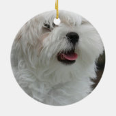 Maltese versiering keramisch ornament (Achterkant)