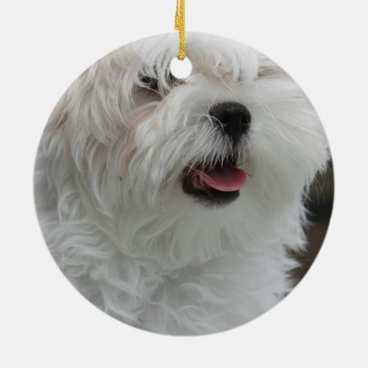 Maltese versiering keramisch ornament (Achterkant)