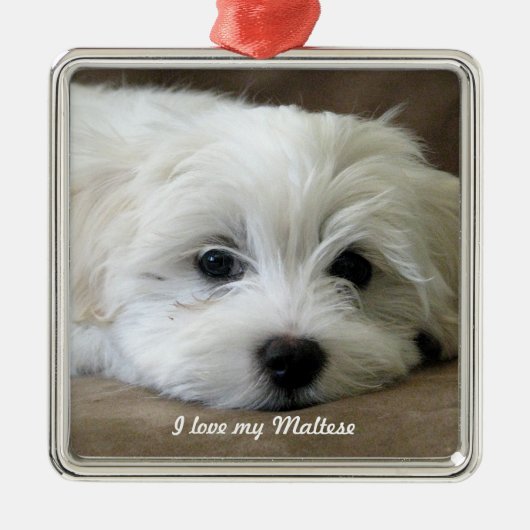 Maltese versiering metalen ornament (Voorkant)