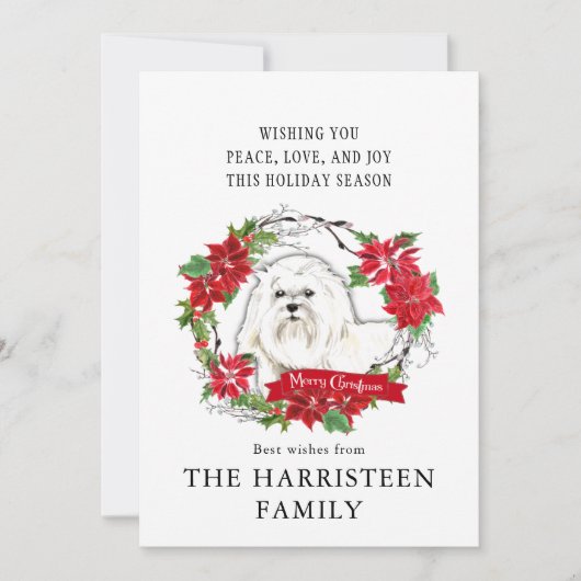 Maltese Waterverf Poinsettia Kerst Feestdagenkaart (Voorkant)