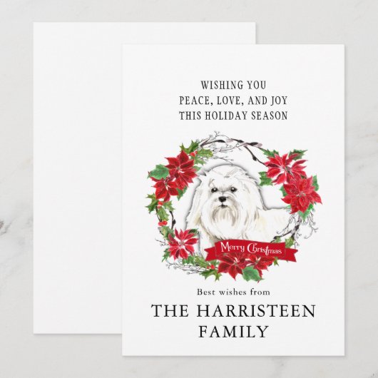 Maltese Waterverf Poinsettia Kerst Feestdagenkaart (Voorkant / Achterkant)