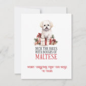 Maltese Whimsical Christmas | Feestdagenkaart (Voorkant)