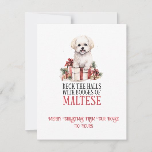Maltese Whimsical Christmas | Feestdagenkaart (Voorkant)