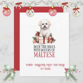 Maltese Whimsical Christmas | Feestdagenkaart