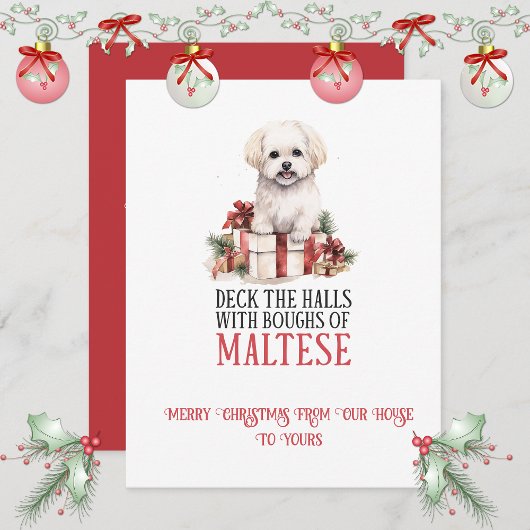 Maltese Whimsical Christmas | Feestdagenkaart