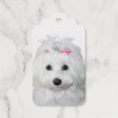 Maltese zoetheid engel op poten cadeaulabels (Achterkant)