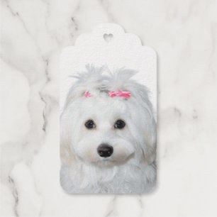 Maltese zoetheid engel op poten cadeaulabels