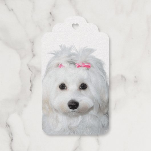 Maltese zoetheid engel op poten cadeaulabels (Achterkant)