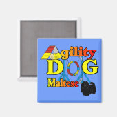 Malteseer Agility Geschenken Magneet (Voorkant / Achterkant)