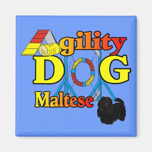 Malteseer Agility Geschenken Magneet (Voorkant)