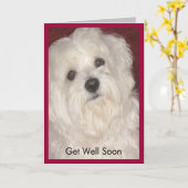 Maltezen worden snel gezond voor iedereen kaart (Gele Bloem)