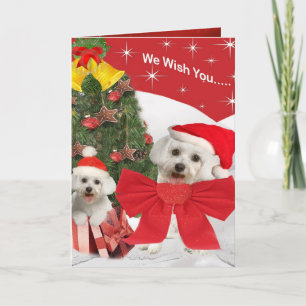 Maltezer en puppy wensen u prettige kerstdagen feestdagen kaart