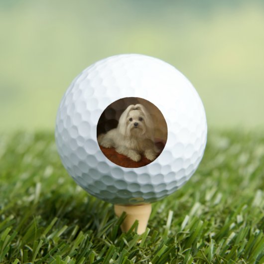 Maltezer Golfballen (Insitu Shirt)