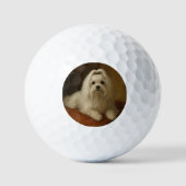 Maltezer Golfballen (Voorkant)