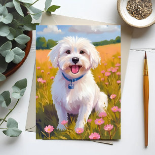 Maltezer Hond Bloem Veld Schilderij Briefkaart