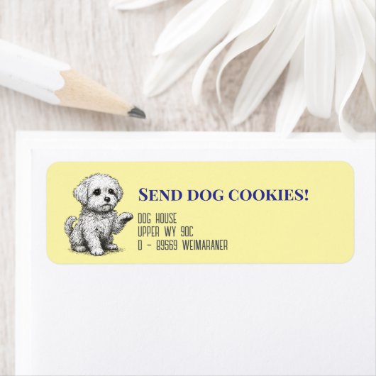 Maltezer hond  etiket (Insitu)