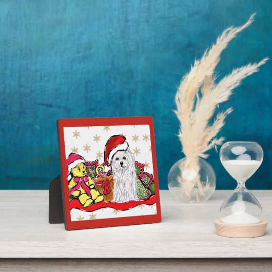 Maltezer hond fotoplaat (Insitu)