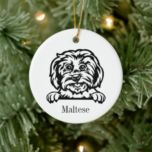 Maltezer hond gepersonaliseerd huisdier ornament, keramisch ornament