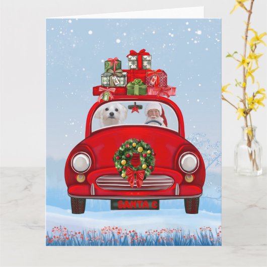 Maltezer hond in auto met kerstman  kaart (Gele Bloem)