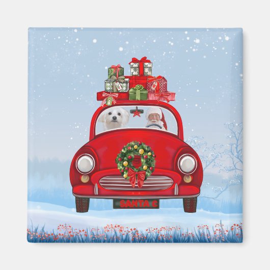 Maltezer hond in auto met kerstman magneet (Voorkant)