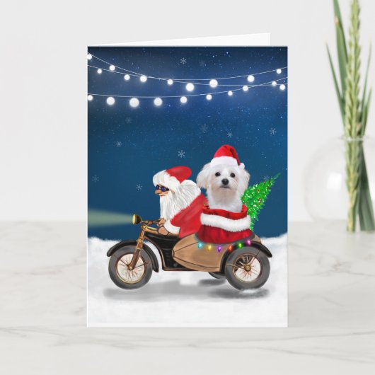 Maltezer hond Kerstman Kaart (Voorkant)