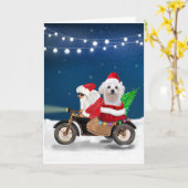 Maltezer hond Kerstman Kaart (Gele Bloem)