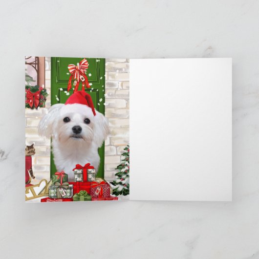 Maltezer Hond Kerstmis  Kaart (Binnen)